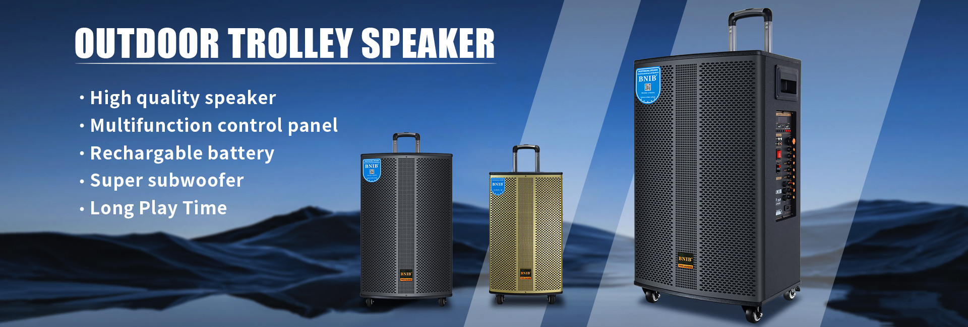 quality Portable Bluetooth Speaker factory
